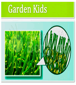 Grass-Sintetico-Niños