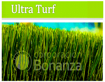 Grass-Sintetico-Ultra-Turf